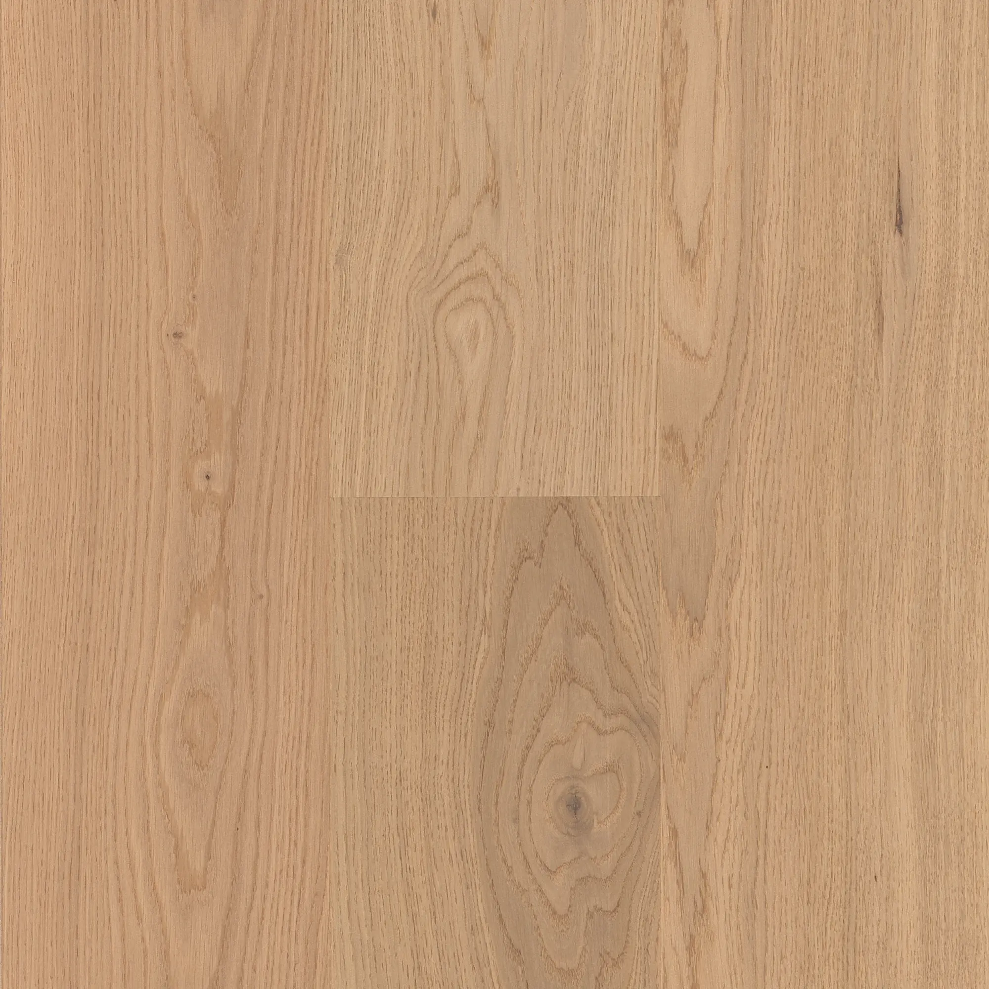 Parquet chêne semi-massif 14/3,3 x 19 Vernis Mat PERENE 1erBis