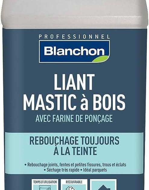 Blanchon Liant Mastic à Bois